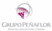 Grupo Pe&ntilde;aflor
