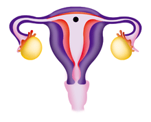 Fase pre-menstrual